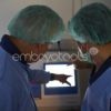 01 - Quality Control and Quality Assessment in the IVF lab - Image 3