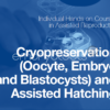 04 - Cryopreservation (Oocytes, Embryos and Blastocysts) and Assisted Hatching - 图片 4