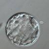 02 - Un aperçu des techniques de FIV – Image 3
