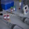 04 - Cryopreservation (Oocytes, Embryos and Blastocysts) and Assisted Hatching - 图片 2