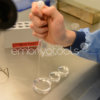 02 - Un aperçu des techniques de FIV – Image 2