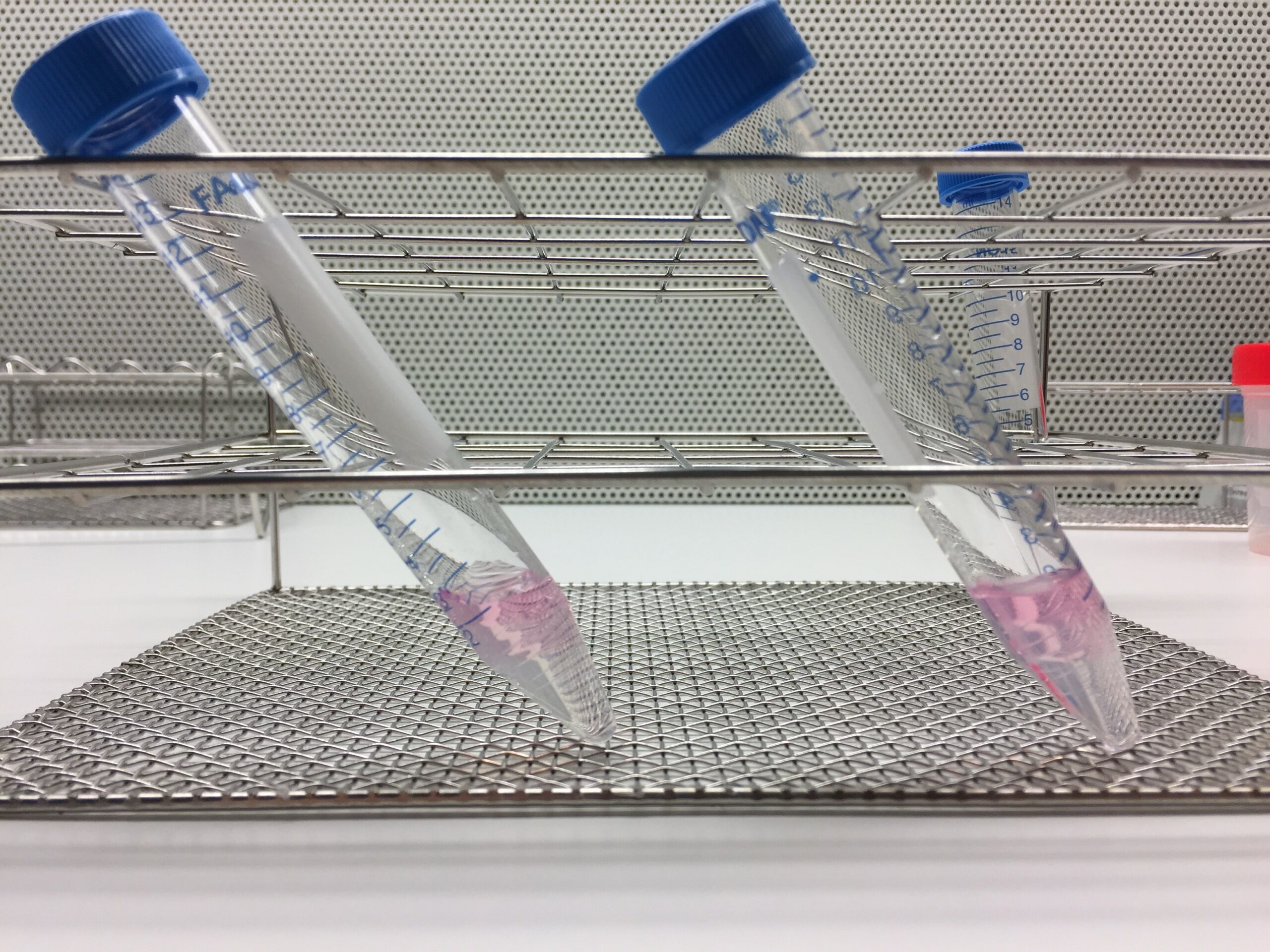 07 - Preparación de semen en colaboración con Microptic - Imagen 4