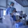 04 - Cryopreservation (Oocytes, Embryos and Blastocysts) and Assisted Hatching
