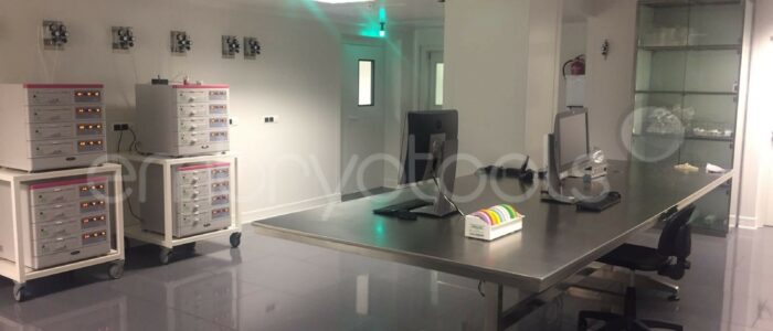 Mesa central Embriologia